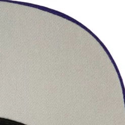 1998 Draft Pro Strapback Hwc Los Angeles Lakers