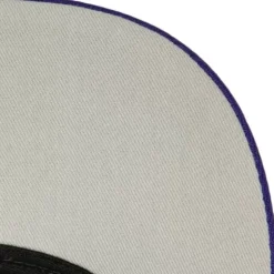 1998 Draft Pro Strapback Hwc Toronto Raptors