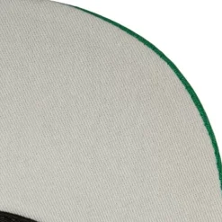 1998 Draft Pro Strapback Hwc Boston Celtics