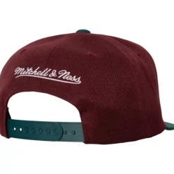 2 Tone Side Patch Snapback Anaheim Ducks