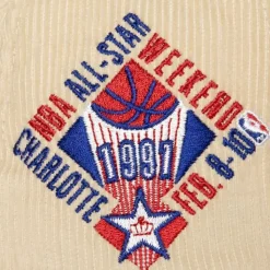 2 Tone Team Cord Fitted Hwc Charlotte Hornets