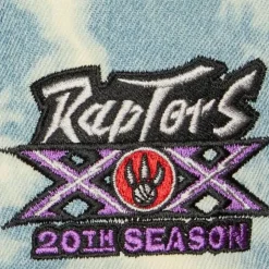 Acid Wash Snapback Hwc Toronto Raptors