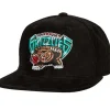 All Directions Snapback Hwc Vancouver Grizzlies