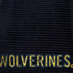 All Directions Snapback University Of Michigan