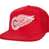 All Directions Snapback Vntg Detroit Red Wings