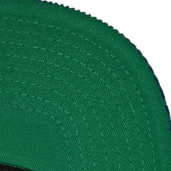 All Directions Snapback Vntg Hartford Whalers