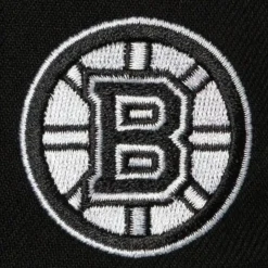 Alternate Flip Snapback Boston Bruins