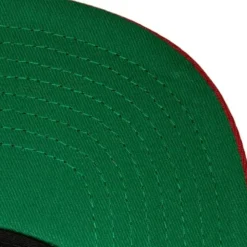 Alternate Flip Snapback Minnesota Wild