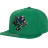 Alternate Flip Snapback Vancouver Canucks