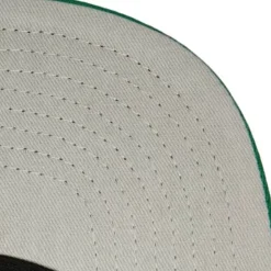 Anime Snapback Boston Celtics