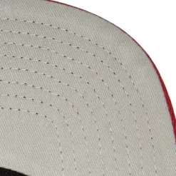 Anime Snapback Chicago Bulls