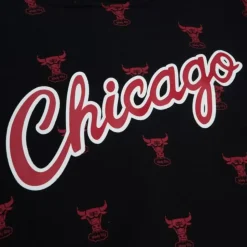Aop Fleece Hoodie Chicago Bulls