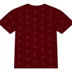 Aop Ss Top Texas Southern University