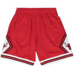 Asg Patches Shorts Chicago Bulls