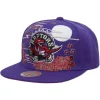 Asian Heritage Snapback Hwc Toronto Raptors