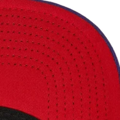 Asian Heritage Snapback Hwc Toronto Raptors