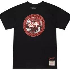 Asian Heritage Ss Tee 5.0 Chicago Bulls