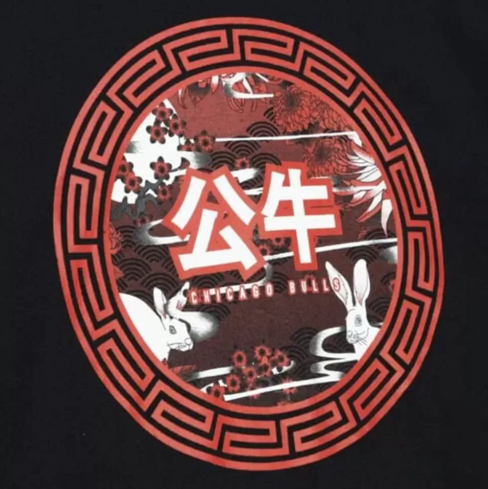 Asian Heritage Ss Tee 5.0 Chicago Bulls