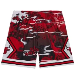 Asian Heritage Swingman Chicago Bulls 1997 Shorts 5.0