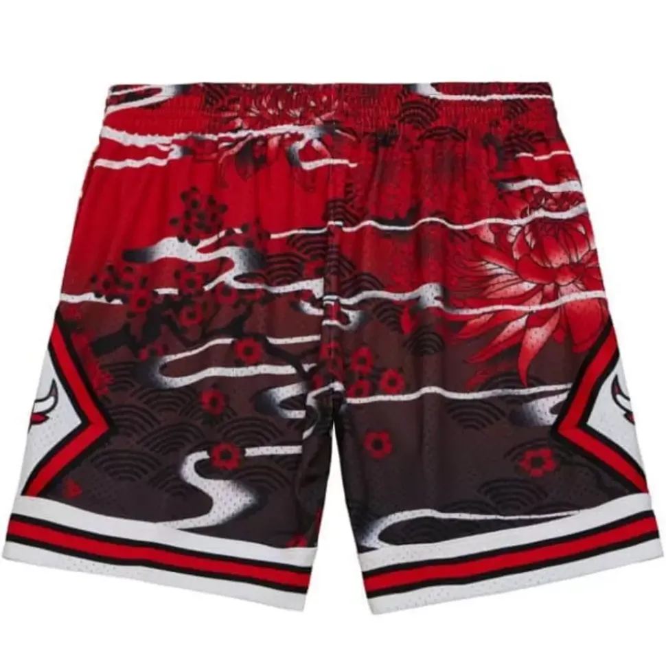 Asian Heritage Swingman Chicago Bulls 1997 Shorts 5.0