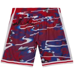 Asian Heritage Swingman Philadelphia 76Ers 1998 Shorts 5.0