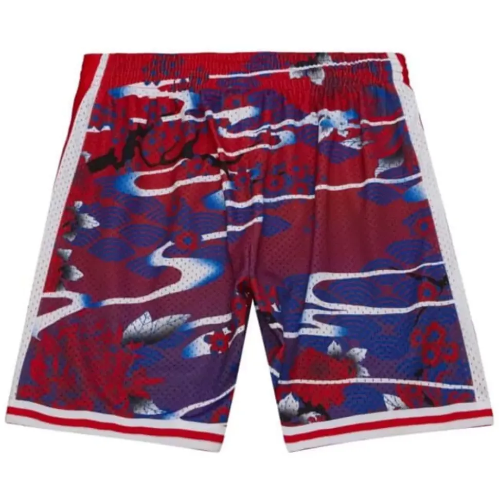 Asian Heritage Swingman Philadelphia 76Ers 1998 Shorts 5.0