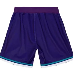 Authentic Charlotte Hornets Alternate 1994-95 Shorts