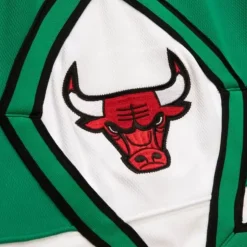 Authentic Chicago Bulls 2008-09 Shorts