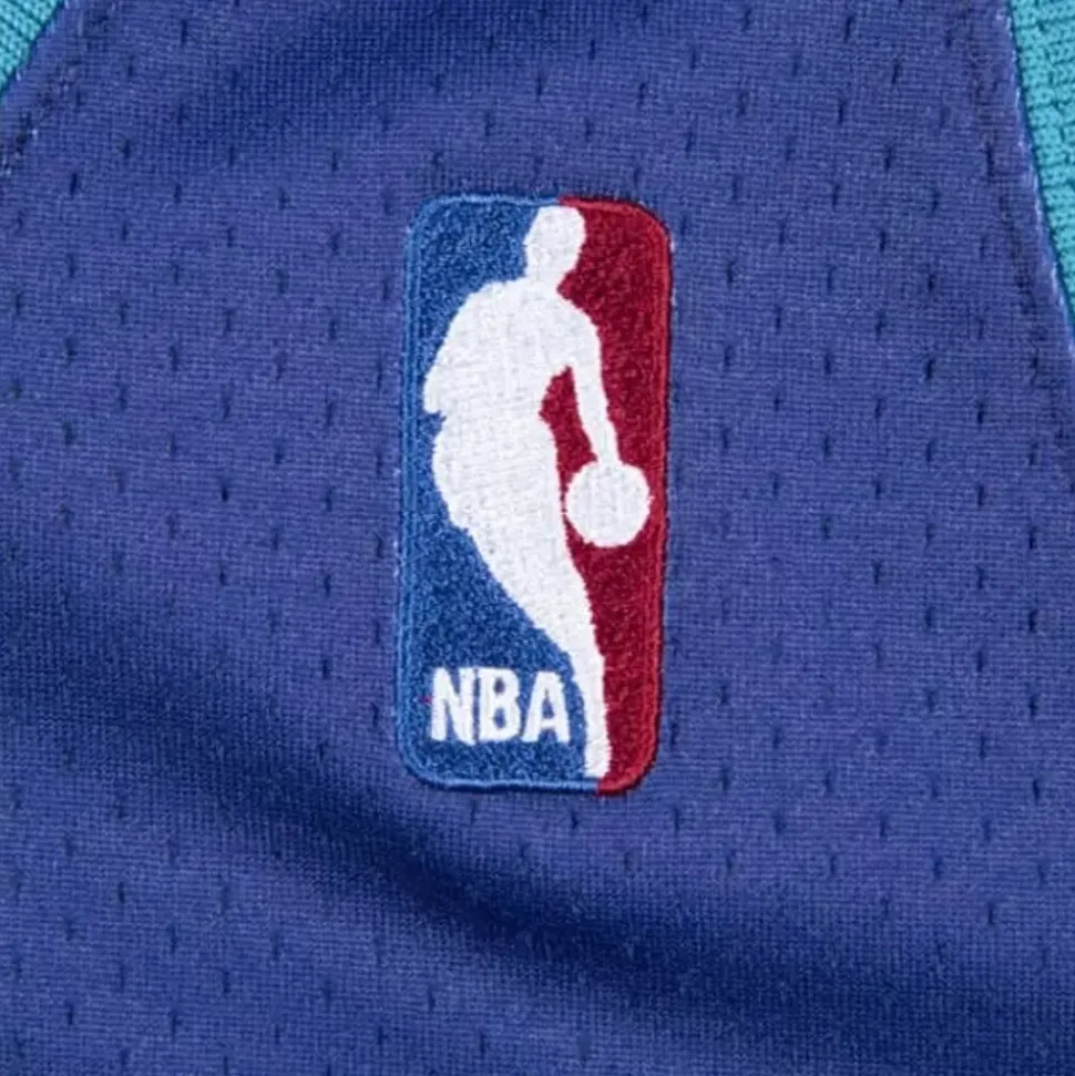 Authentic Jersey Charlotte Hornets 1994-95 Alonzo Mourning