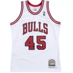 Authentic Jersey Chicago Bulls 1994-95 Michael Jordan