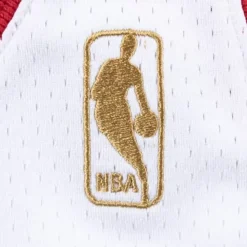 Authentic Jersey Chicago Bulls 1996-97 Michael Jordan