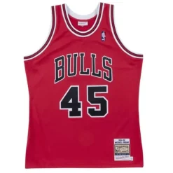 Authentic Jersey Chicago Bulls 1994-95 Michael Jordan