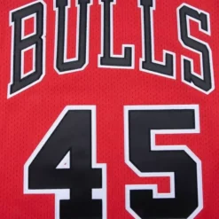 Authentic Jersey Chicago Bulls 1994-95 Michael Jordan
