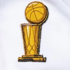 Authentic Jersey Detroit Pistons Home Finals 2003-04 Rasheed Wallace