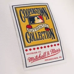 Authentic Jersey Los Angeles Dodgers Home 1993 Mike Piazza