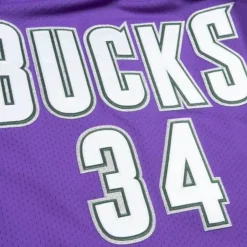 Authentic Jersey Milwaukee Bucks 2000-01 Ray Allen
