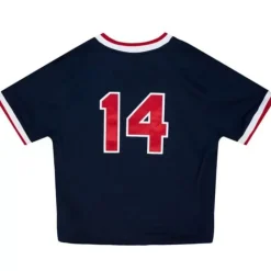 Authentic Jim Rice Boston Red Sox 1989 Pullover Jersey