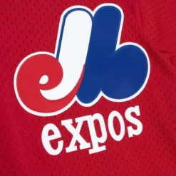 Authentic Larry Walker Montreal Expos 1989 Pullover Jersey