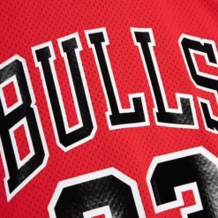Authentic Michael Jordan Chicago Bulls 1991-92 Jersey