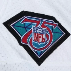 Authentic Randall Cunningham Philadelphia Eagles Alternate 1994 Jersey