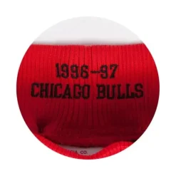 Authentic Shorts Chicago Bulls Alternate 1996-97