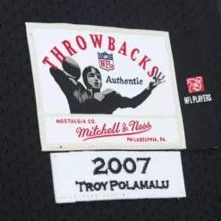 Authentic Troy Polamalu Pittsburgh Steelers 2007 Jersey