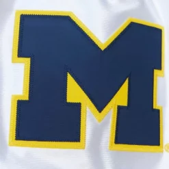 Authentic University Of Michigan 1991 Shorts