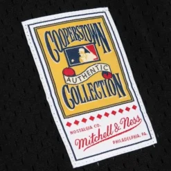 Authentic Wade Boggs Tampa Bay Rays 1998 Pullover Jersey