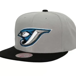 Away Snapback Coop Toronto Blue Jays