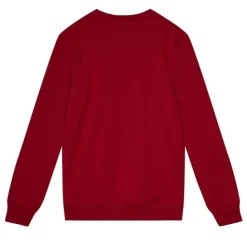 Basic Logo 1 Hoodie Kansas City Chiefs