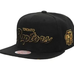 Bhm Script Snapback Hwc Toronto Raptors