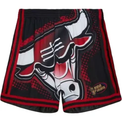 Big Face 7.0 Fashion Shorts Chicago Bulls