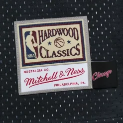 Big Face 4.0 Jersey Chicago Bulls