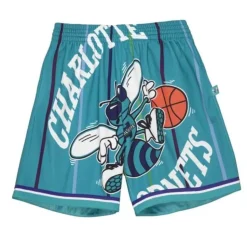 Big Face 2.0 Shorts Charlotte Hornets